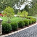 Country Club Road driveway landscaping