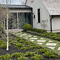 concrete walkway with plantings