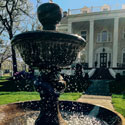 whitehouse fountain